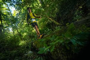 BIB: 
                            <button type="button" onclick="openModal(18923430)" class="btn btn-primary btn-sm float-right btn-popup" data-toggle="modal" data-target=".modal-high-quality">
                        <i class="fas fa-shopping-cart"></i> Add to Cart
                    </button>
                                            <button type="button" onclick="isThisMe(18923430, true)" class="btn btn-success btn-sm float-right btn-popup btn-isme hidden" data-toggle="tooltip" data-placement="bottom" title="นี่คือรูปของคุณใช่ไหม คลิกที่นี่เพื่อเอาเข้าอัลบั้ม">
                        <i class="fas fa-plus"></i> Add to album
                    </button>
                    <button type="button" onclick="isThisMe(18923430, false)" class="btn btn-warning btn-sm float-right btn-popup btn-isnotme hidden">
                        <i class="fas fa-ban"></i> Remove from album
                    </button>